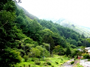 �����������ͥ����㡼�ե�����