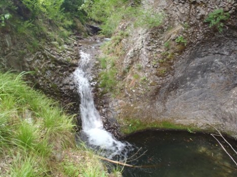 �����������ͥ����㡼�ե�����