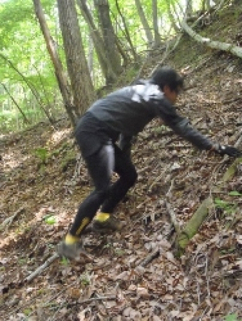 �����������磻��� �ե��åȥͥ� �����󥸡������ȥɥ��㳲ʪ���˥󥰥졼����MAD&MUDDY